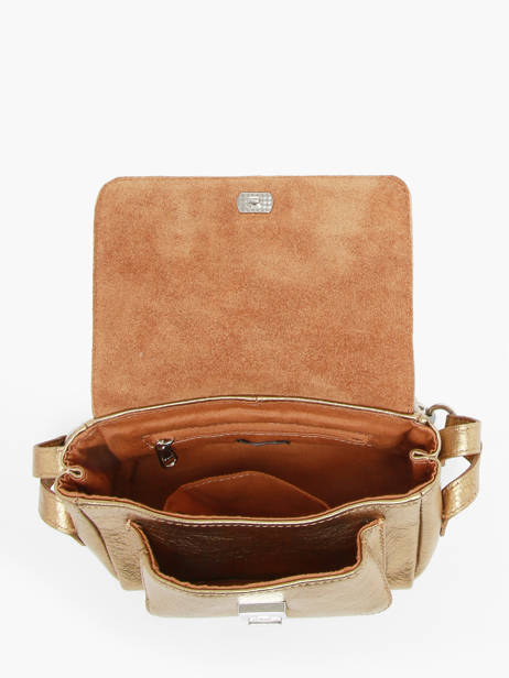 Sac BandouliÃ¨re Diane  Xs Paul marius Or vintage DIANEXS vue secondaire 3