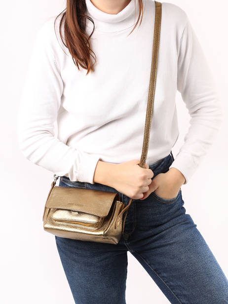 Sac BandouliÃ¨re Diane  Xs Paul marius Or vintage DIANEXS vue secondaire 1